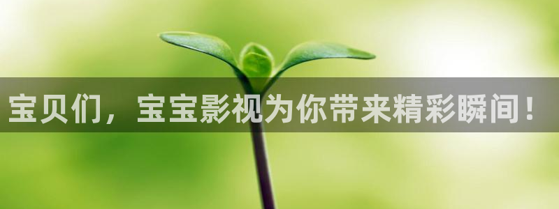 被窝午夜电影网