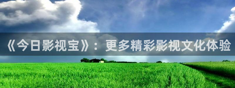 被窝网看电影：《今日影视宝》：更多精彩影视文化体验