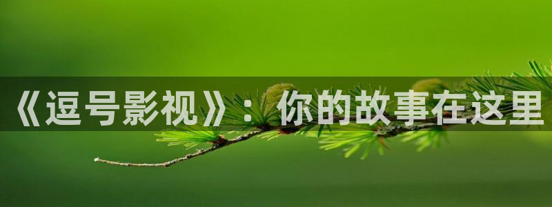 深夜被窝电影：《逗号影视》：你的故事在这里